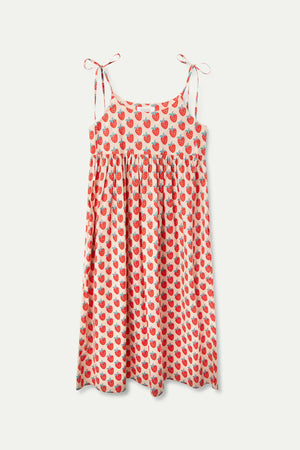 Strawberry Beach Maxi Dress