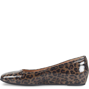 Poppy Flat