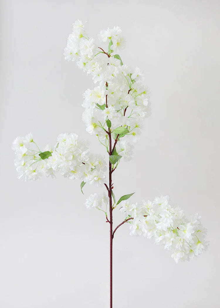 White Cherry Blossom