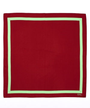 solid frame silk bandana